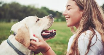 Cultivating Pet Wellness: Flourishing Approach to Pet Care